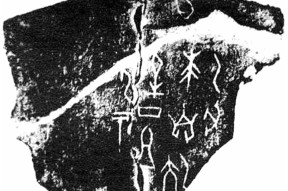 藠头-ky平台官网